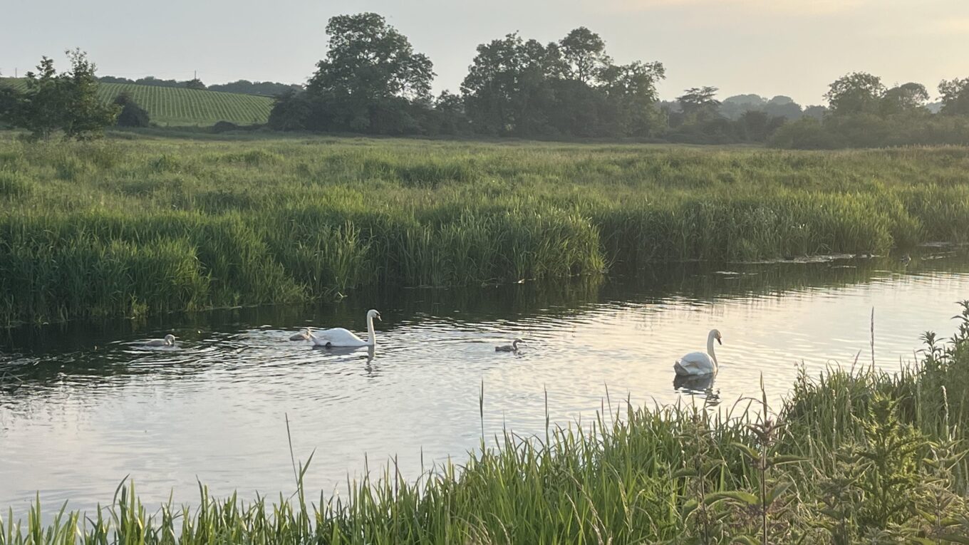 The River Bure near Coltishall